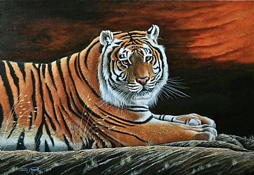 366x252 Bengal Tiger. - Bengal Tiger Painting