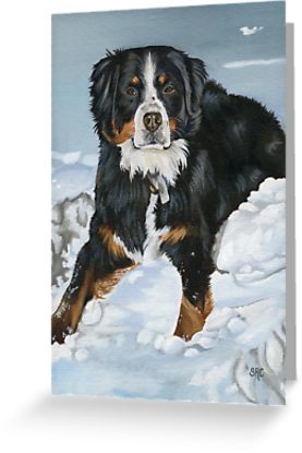 277x415 Bernese Mountain Dog Painting Greeting Cards By Clarityart - Bernese Mountain Dog Painting