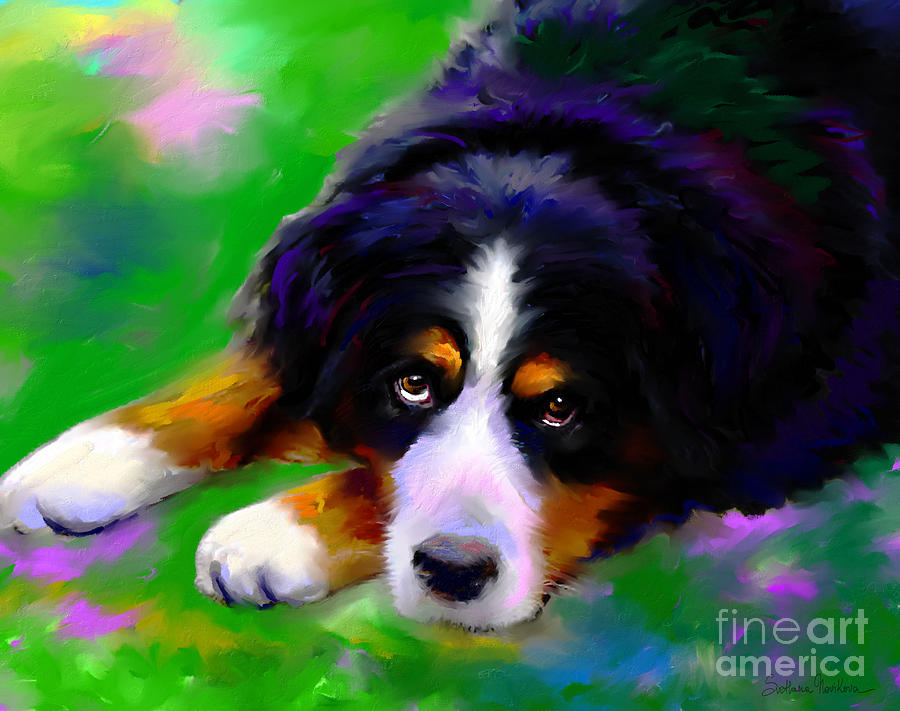 900x711 Bernese Mountain Dog Portrait Print Painting By Svetlana Novikova - Bernese Mountain Dog Painting