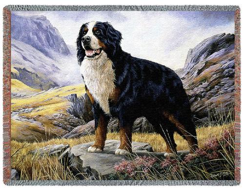 500x393 Bernese Mountain Dog Tapestry Throw, 54 X 70 - Bernese Mountain Dog Painting