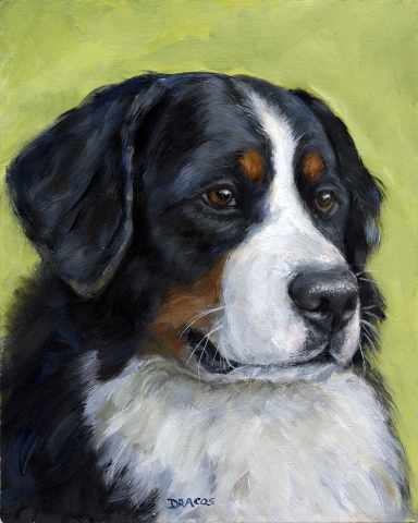 384x480 Dog Paintings (And Catnd Othernimals) By Dottie Dracos - Bernese Mountain Dog Painting