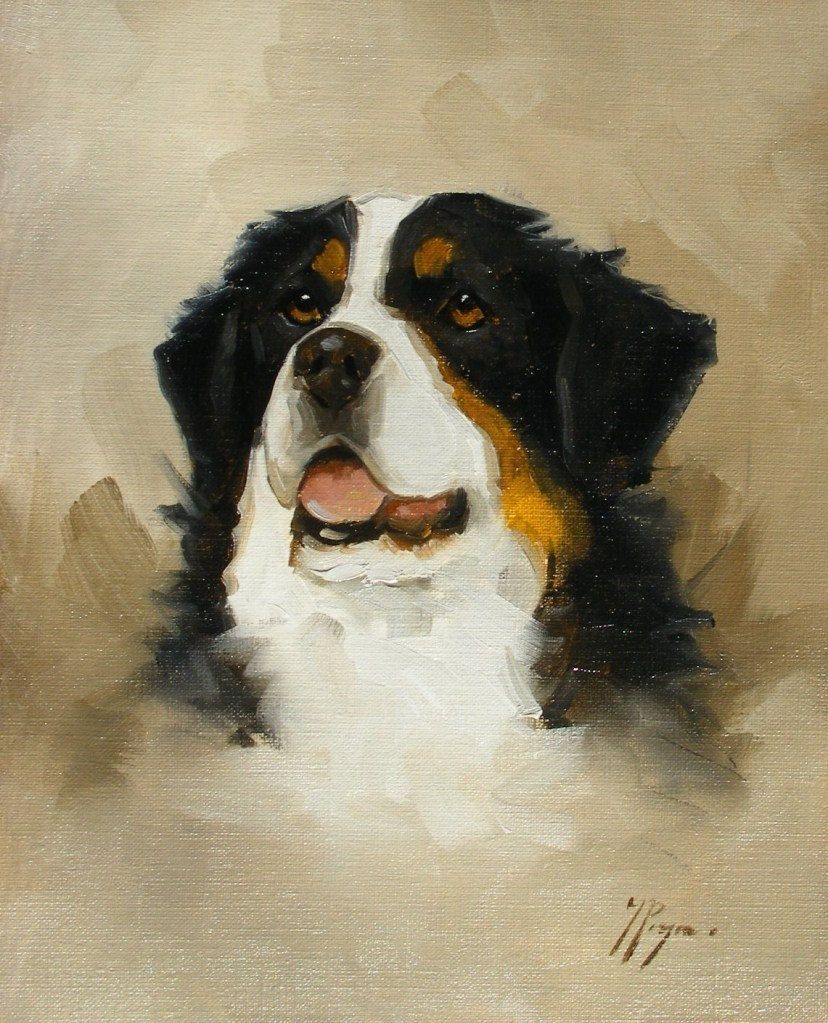 828x1023 Original Oil Painting Of A Bernese Mountain Dog By Johnspaintings - Bernese Mountain Dog Painting