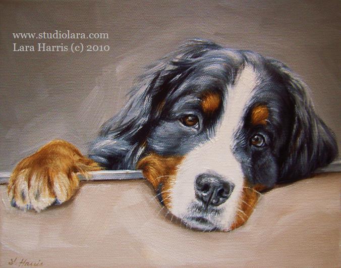 676x531 Painting A Pup A Day Bernese Mountain Dog Pet Portrait In Oil - Bernese Mountain Dog Painting