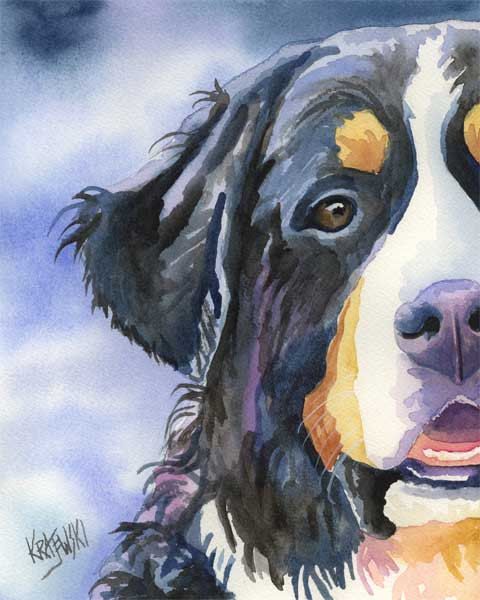480x600 Bernese Mountain Dog Art Print Of Original Watercolor Painting - Bernese Mountain Dog Painting