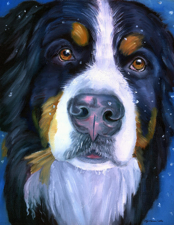 599x775 Bernese Mountain Dog In Snowfall Art Print By Lyn Cook - Bernese Mountain Dog Painting