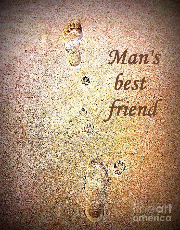 706x900 Man's Best Friend Painting By Shelia Kempf - Best Friend Painting