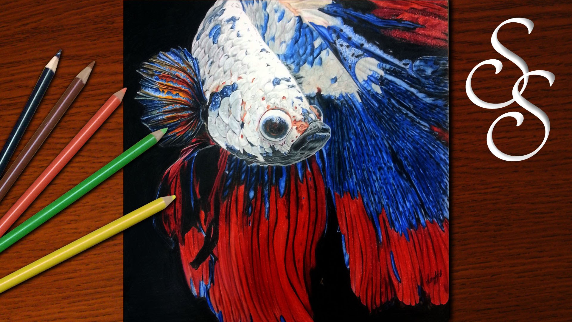 1920x1080 Betta Fish Speedart - Betta Fish Painting
