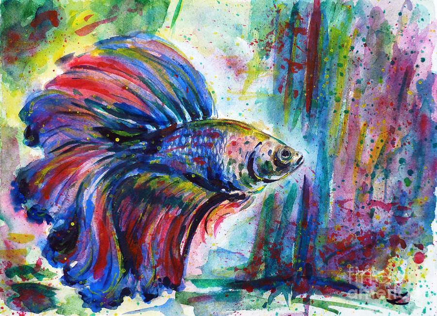 900x651 Betta Painting By Zaira Dzhaubaeva - Betta Fish Painting