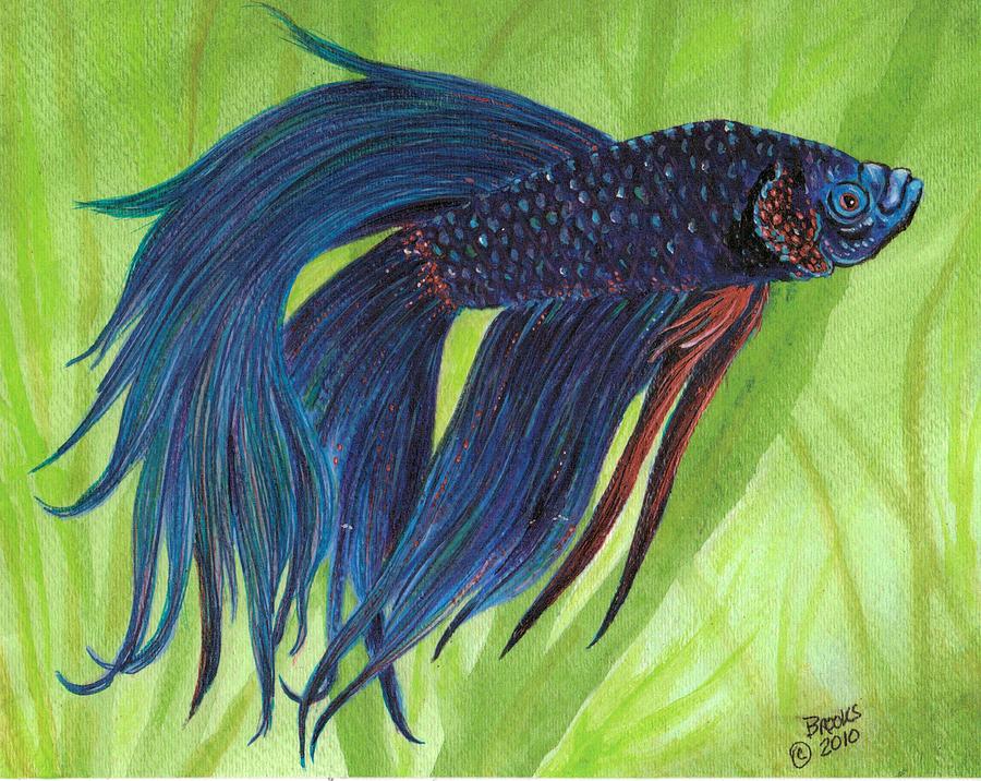 900x716 Blue Betta Painting By Richard Brooks - Betta Fish Painting