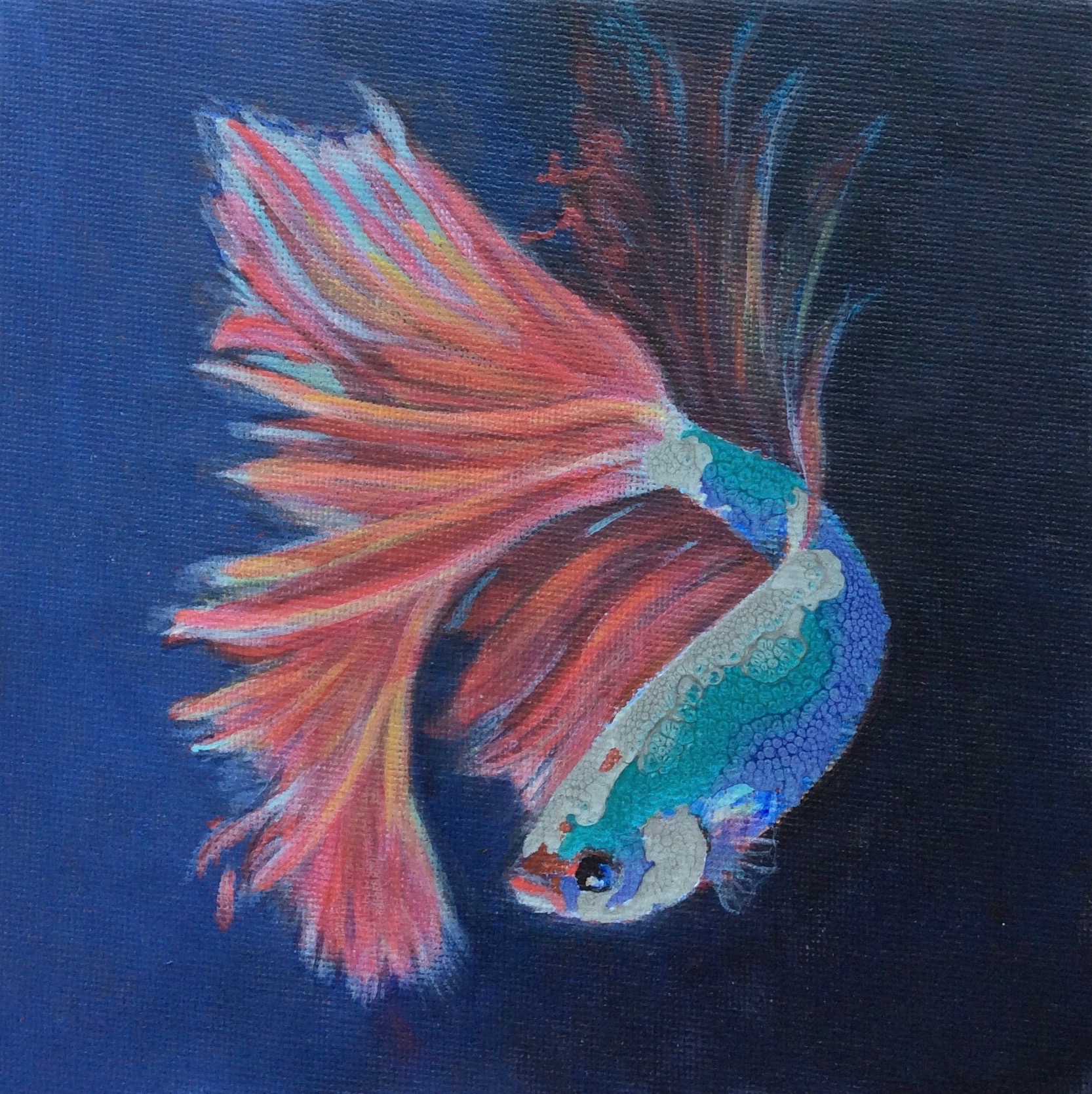 1666x1669 Water Puppy Betta Fish Painting Meghan Fine Art - Betta Fish Painting