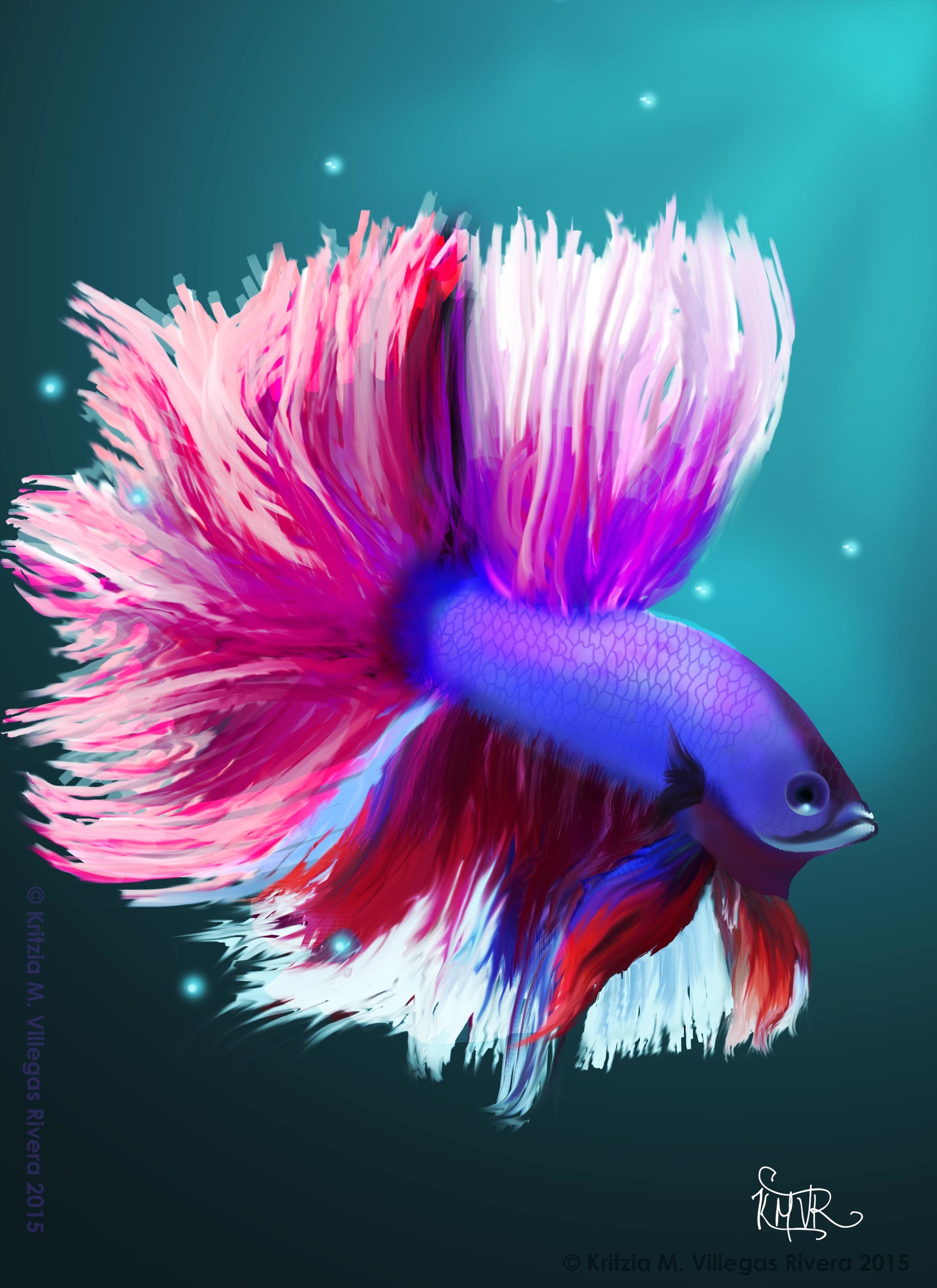 1920x2640 Kritzia M Villegas - Betta Fish Painting
