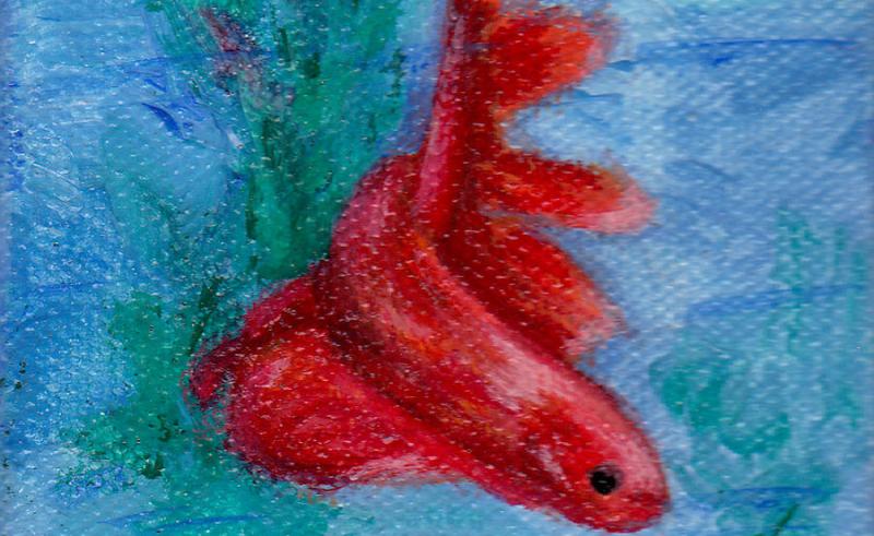 800x491 Little Red Betta Fish Painting By Brenda Thour Painting For Home - Betta Painting