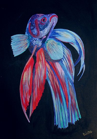 387x550 Male Siamese Fighting Fish Betta Splendens Posters By Taiche - Betta Painting