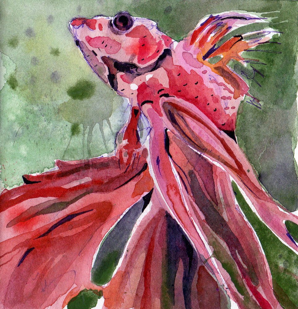 964x1000 Painting Of Red Betta Fish Original Watercolor On Paper Art - Betta Painting