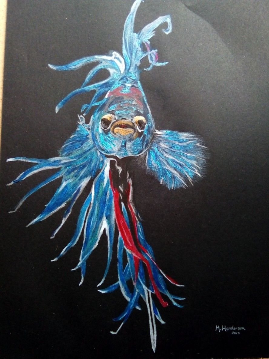 888x1184 A Blue And Red Ct Betta Painting. Painted With Metallic Acrylic - Betta Painting