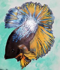 257x300 Siamese Fighting Fish Halfmoon Blue Amp Yellow Betta Painting - Betta Painting