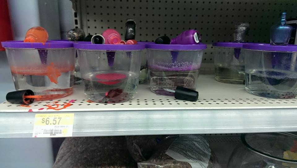 960x543 Someone Killed This Walmart's Betta Fishes By Painting Them All - Betta Painting