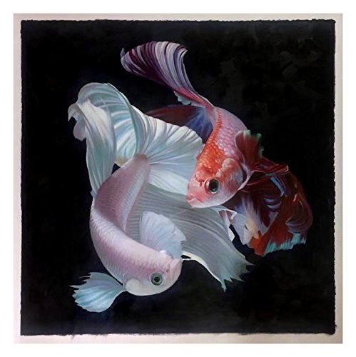 499x500 Fighting Of Colorful Betta Fish Isolated On Black - Betta Painting