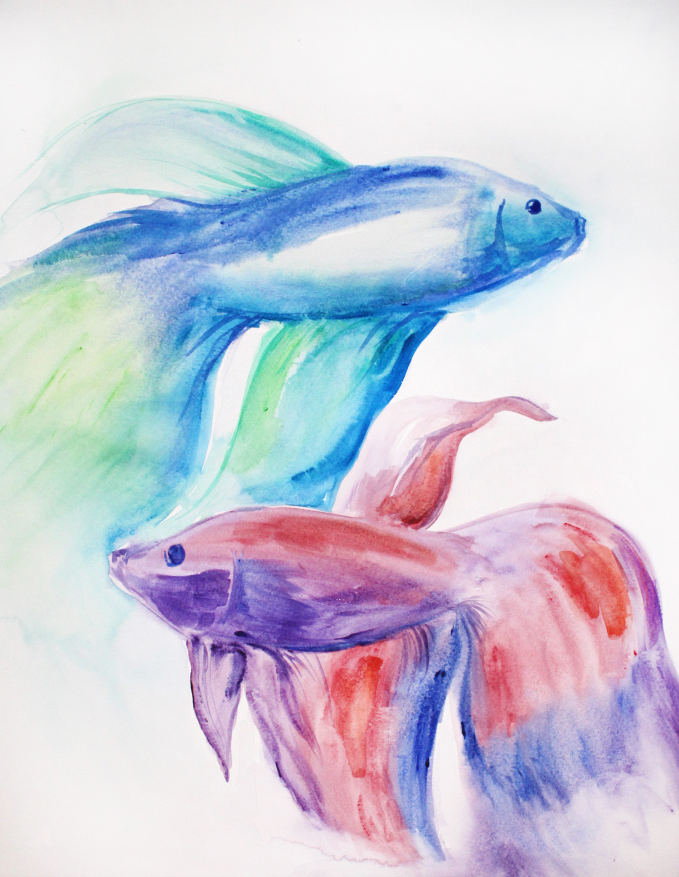 1355x1750 Art By Allie Allison Dugas Behan Painting And Illustrations - Betta Painting