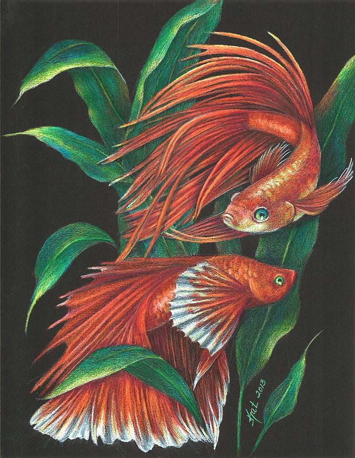 698x900 Betta Painting By Kat Ewing - Betta Painting