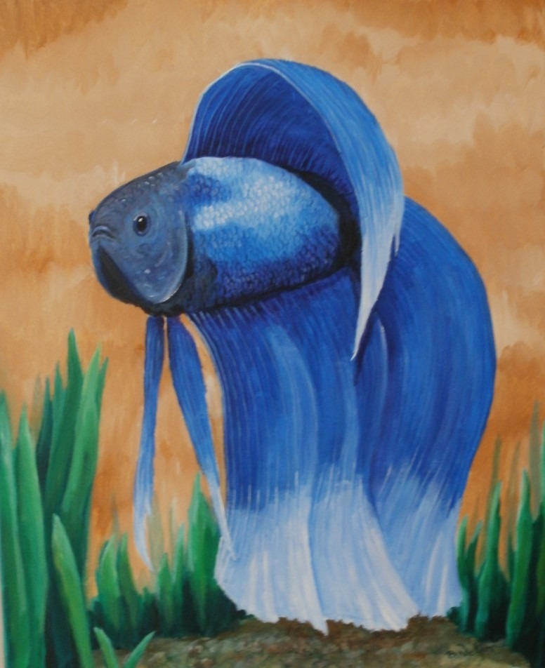 776x952 Betta Male Painting By Me - Betta Painting