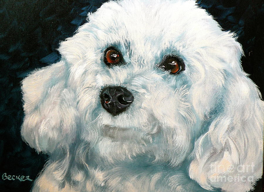 900x656 Bichon Frise Painting By Susan A Becker - Bichon Frise Painting