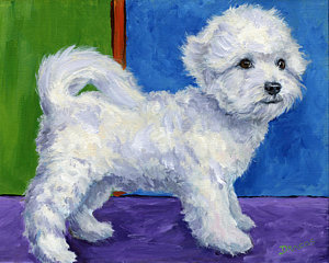 300x240 Bichon Frise Standing Sideways Painting By Dottie Dracos - Bichon Frise Painting