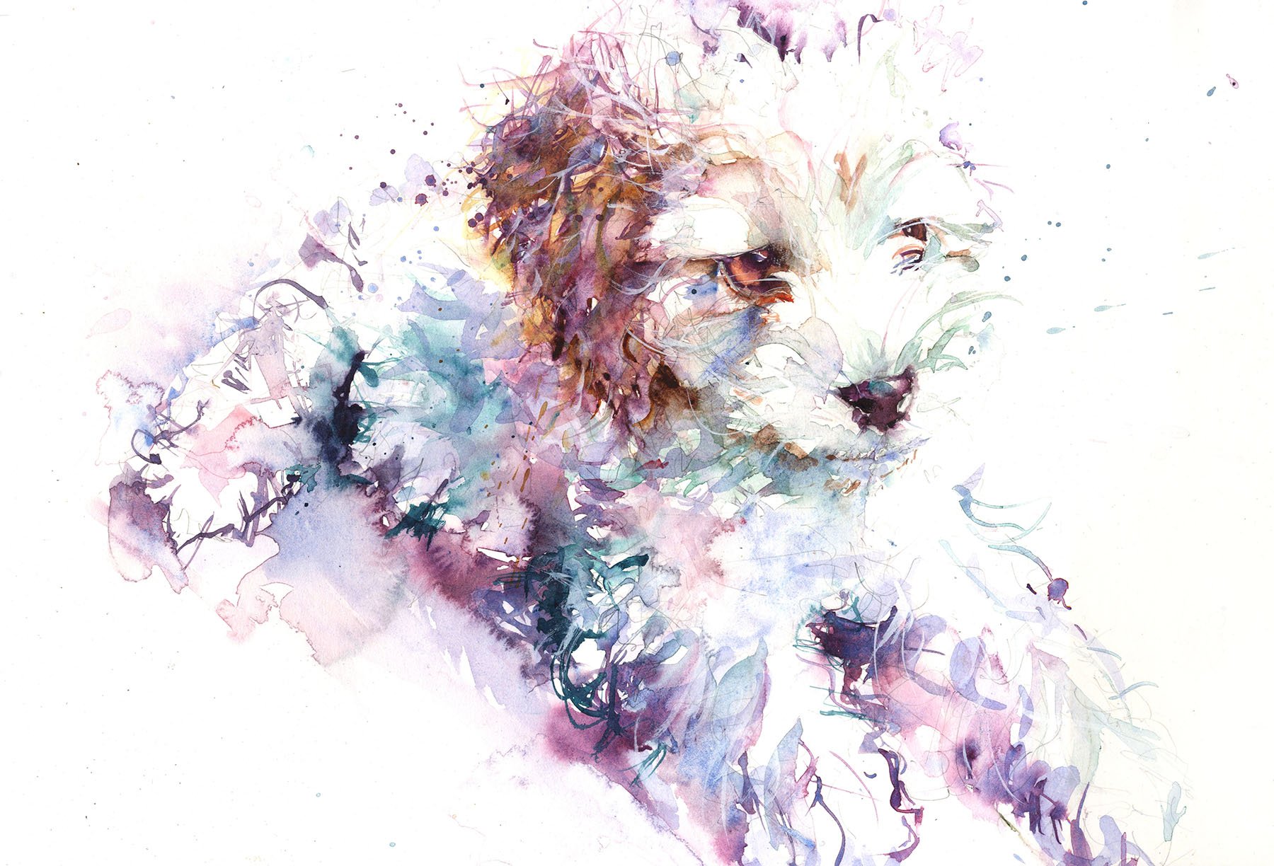 1800x1224 Original Watercolour Painting Bichon Frise Puppy - Bichon Frise Painting