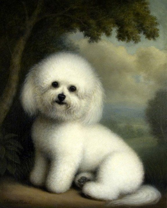 575x715 Painting Seated Bichon Frise By Christine Merrill - Bichon Frise Painting