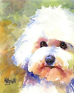 240x300 Bichon Frise Dog 11x14 Signed Art Print Rjk Painting Ebay - Bichon Frise Painting