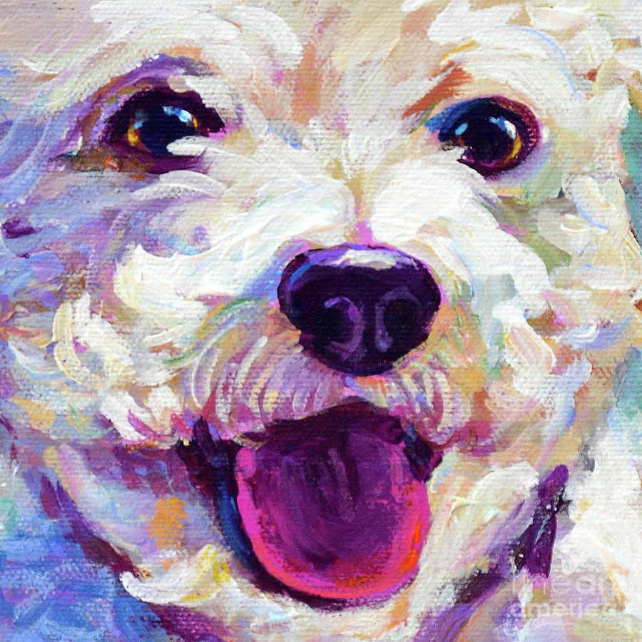900x900 Bichon Frise Face Painting By Robert Phelps - Bichon Frise Painting