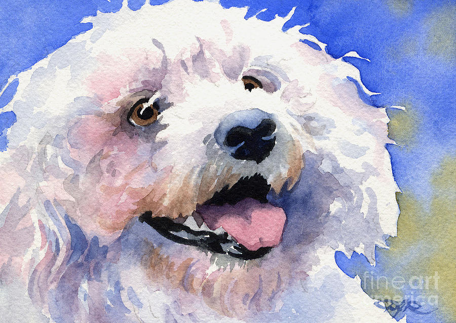 900x638 Bichon Frise Painting By David Rogers - Bichon Painting