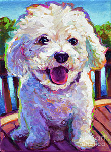 219x300 Bichon Frise Paintings Fine Art America - Bichon Painting