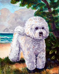 240x300 Bichon Painting - Bichon Painting