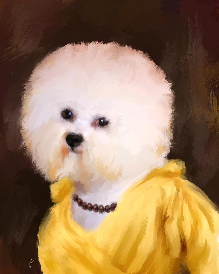 Bichon Painting At PaintingValley Com Explore Collection Of Bichon   Bichon Painting 18 