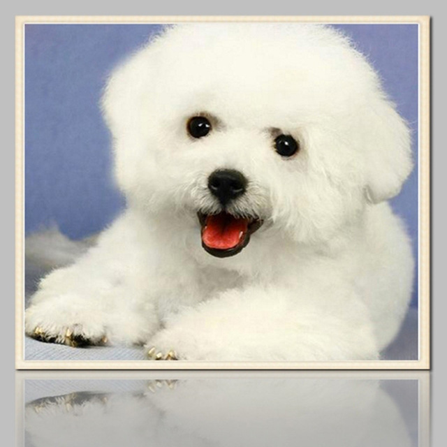 640x640 Diamond Painting Diy 3d Bichon Dog Full Kit Rhinestone Cross - Bichon Painting