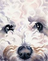 159x200 Stunning Bichon Frise Artwork For Sale On Fine Art Prints - Bichon Painting