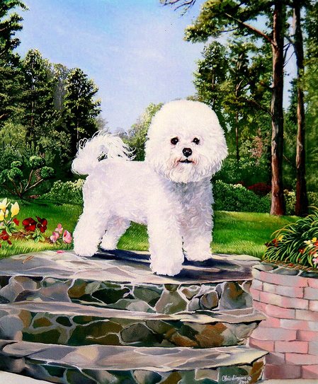 Bichon Painting At PaintingValley Com Explore Collection Of Bichon   Bichon Painting 3 