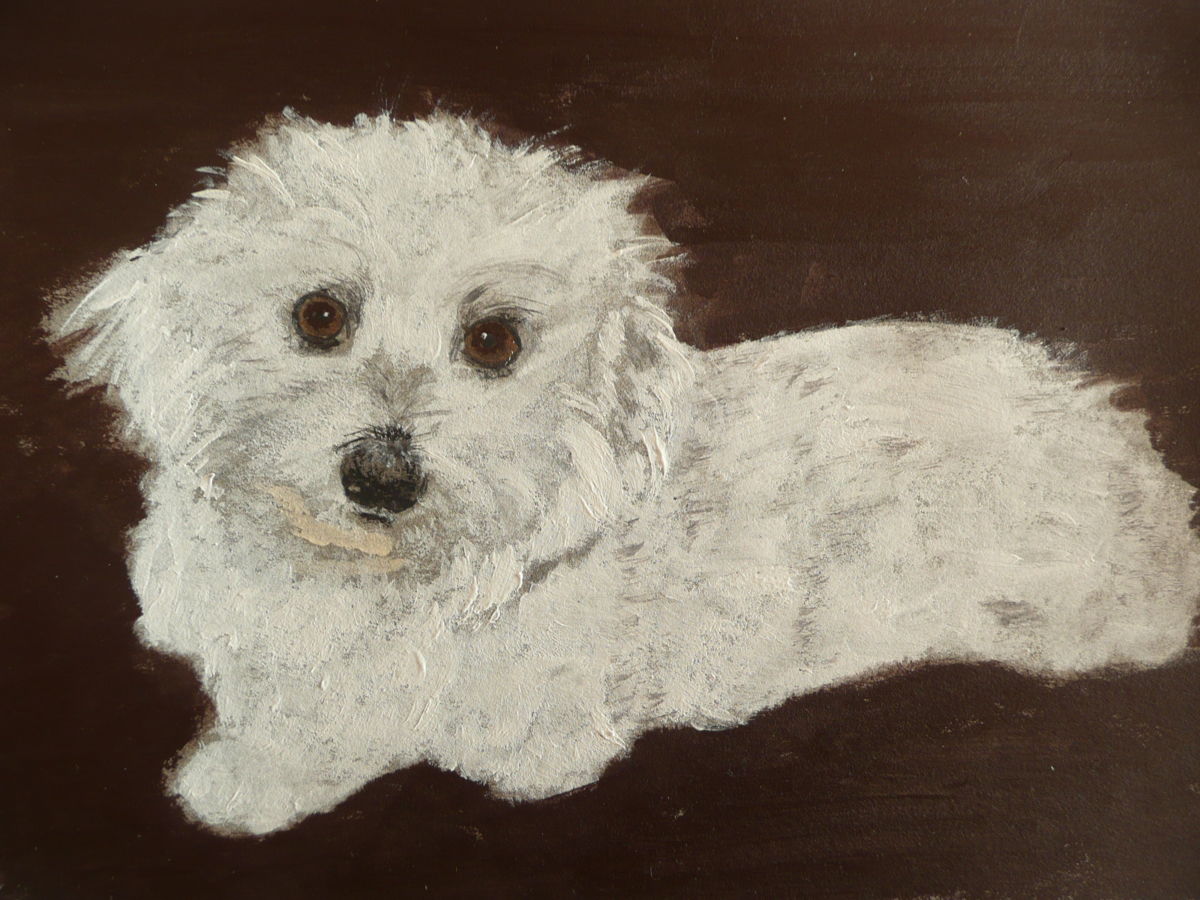 1200x900 Bichon (Cathou Bazec) - Bichon Painting