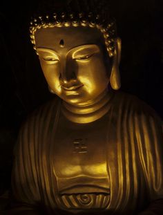 236x311 Hand Painted Large Buddha Portrait Oil Painting Httpwww - Big Buddha Painting