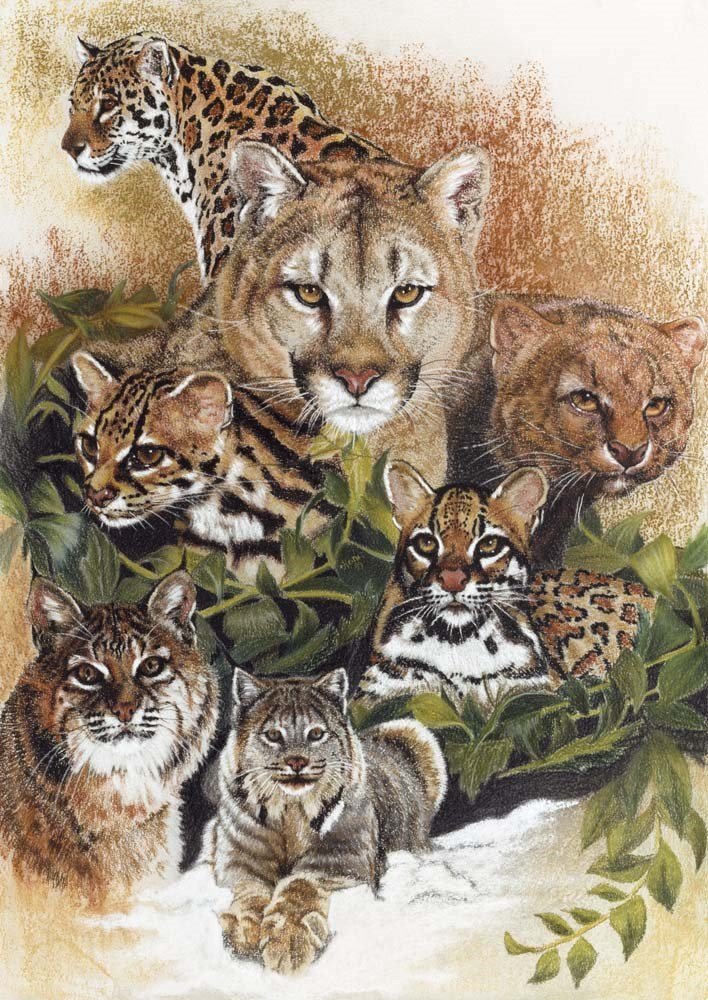 708x1000 Big Cats Wall Art ~ Big Cat Art Prints ~ Wild Cat Family - Big Cat Painting