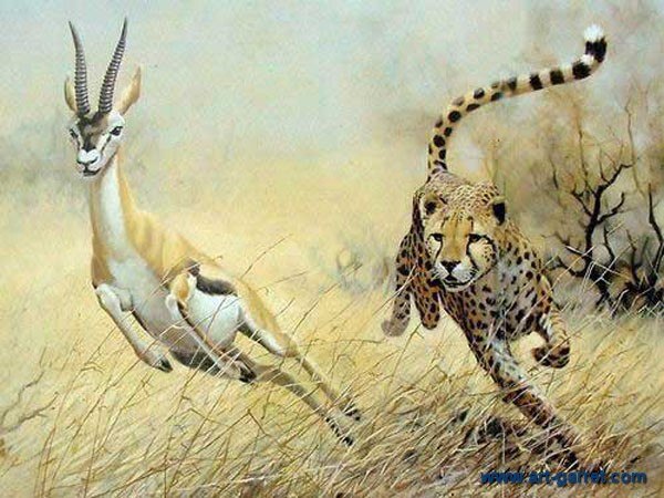 600x450 Free Shipping Handmade Leopard Oil Paintings On Canvas Modern - Big Cat Painting