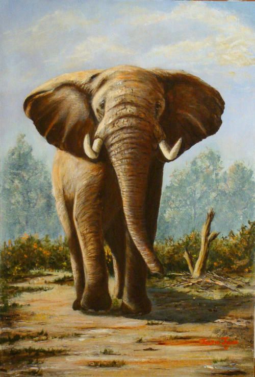 500x737 Elephant Painted By Justin John. Original. Realistic. One - Big Elephant Painting