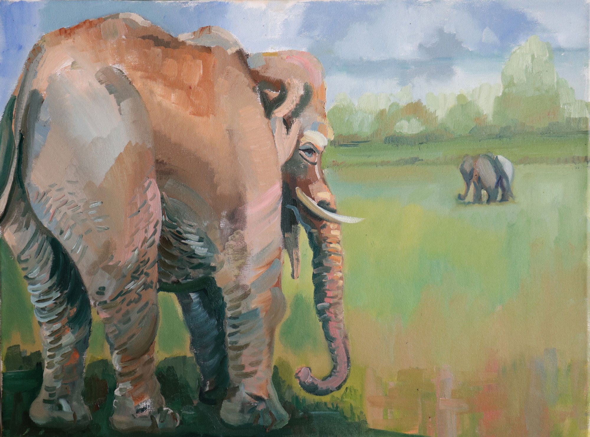 2000x1481 Jimmy Mackellar - Big Elephant Painting