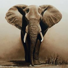 236x236 View Flamingos By Danijela Dan. Browse More Art For Sale - Big Elephant Painting