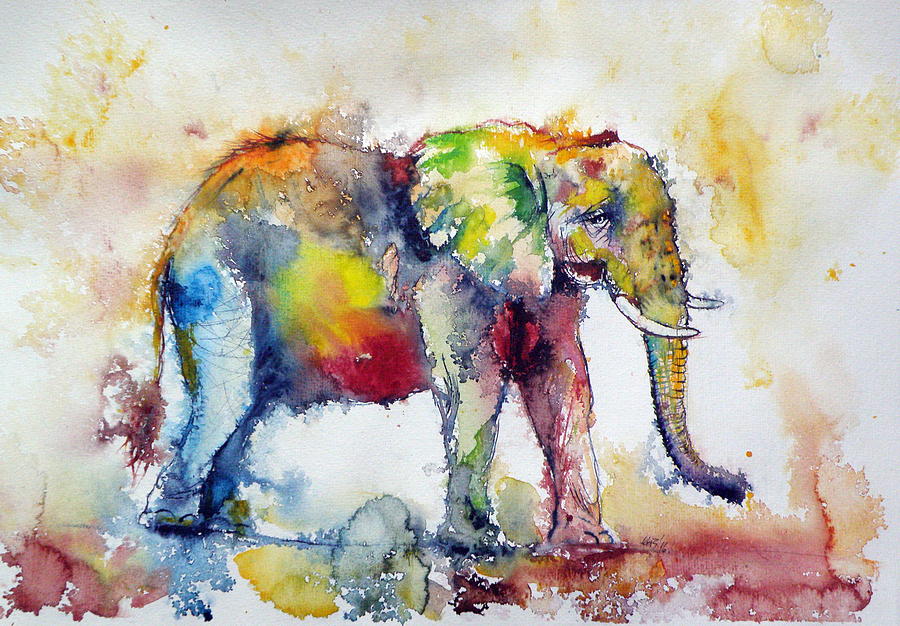 900x626 Big Colorful Elephant Painting By Kovacs Anna Brigitta - Big Elephant Painting