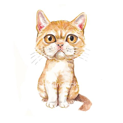 480x480 Big Eyed Persian - Big Eyed Cat Painting