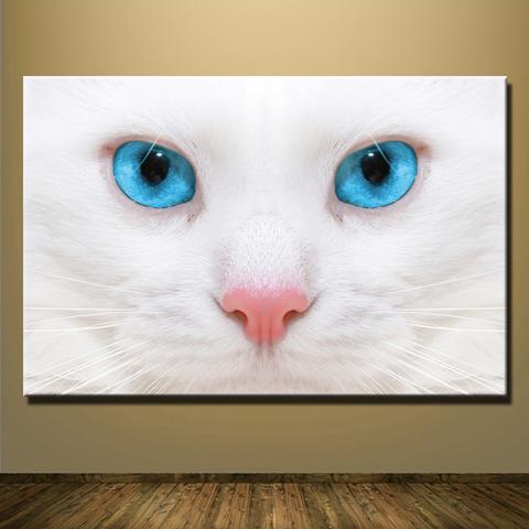 480x480 Blue Eyed White Kitty Printed Oil Painting On Canvas Unframed - Big Eyed Cat Painting