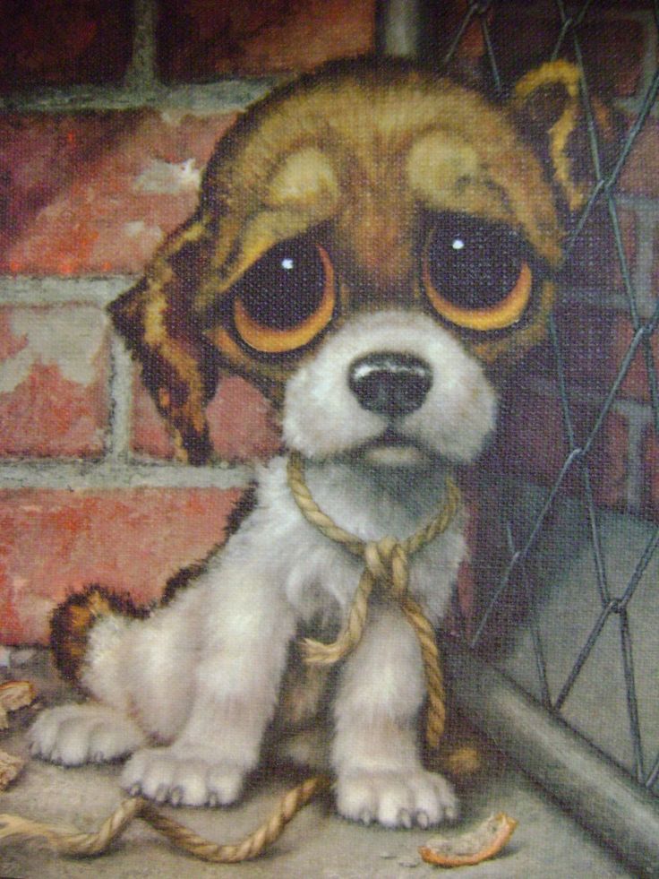 736x981 31 Best Things I Love Images On Big Eyes, Bigger Eyes - Big Eyed Dog Painting