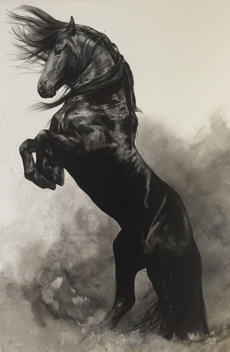 736x1124 Crammed Horse Artwork 803 Best Art Images On Horses - Big Horse Painting